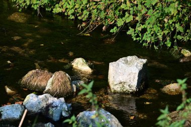 Ormandaki göletli şelale