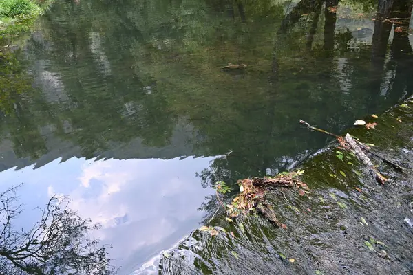 stock image water stream in the forest 