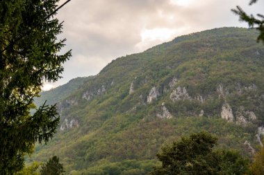 Yeşil orman dağlarında