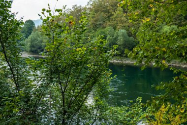 Yeşil dağ ormanlarında nehir