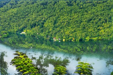 Yeşil dağ ormanlarında nehir