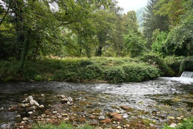 Yeşil dağ ormanında şelale