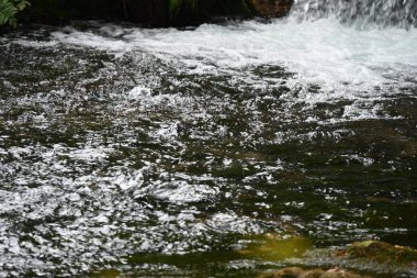 Yeşil dağ ormanında şelale