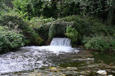 Yeşil dağ ormanında şelale