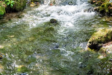 Yeşil dağ ormanında şelale
