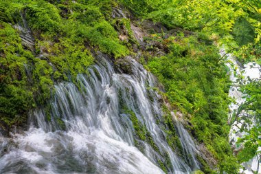 Yeşil dağ ormanında şelale