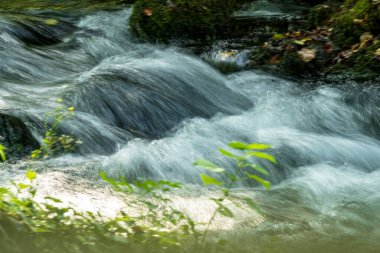 Ormandaki su akıntısı 