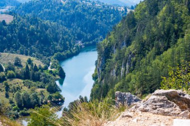 Yeşil dağ ormanlarında nehir