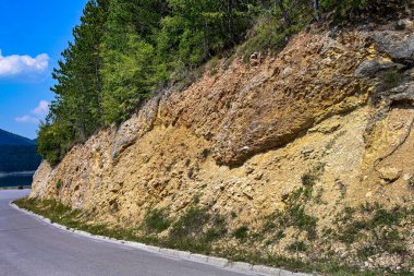 Yol yaz günü yeşil ağaçlar ve bitkilerle çevrili.