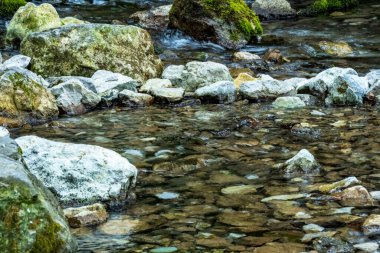 Ormanda güzel bir şelale