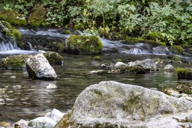 Ormanda güzel bir şelale görüntüsü