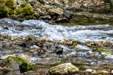 Ormanda güzel bir şelale görüntüsü