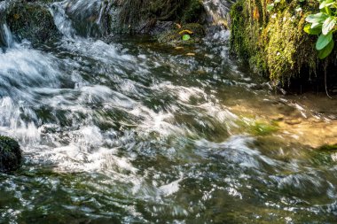 Ormanda güzel bir şelale, doğa geçmişi