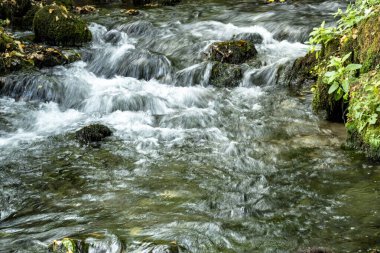 Ormanda güzel bir şelale 
