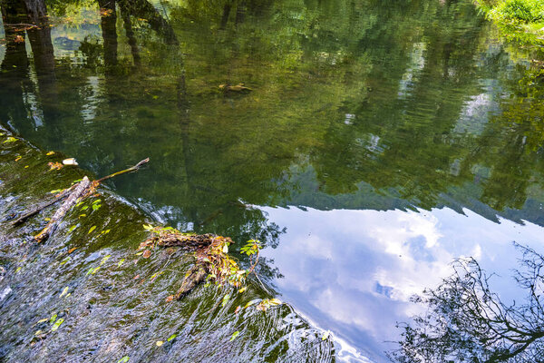 reflection of trees in the water