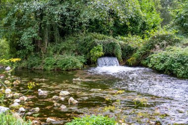 Ormanda güzel bir şelale 
