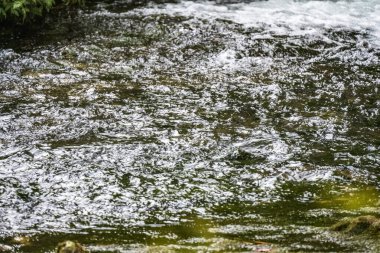 Ormanda güzel bir şelale 