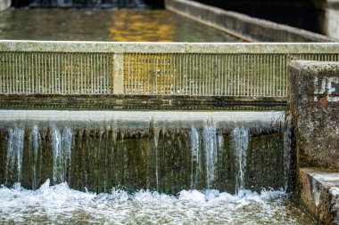 Ormanda güzel bir şelale