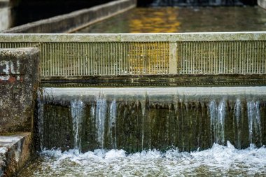 Ormanda güzel bir şelale