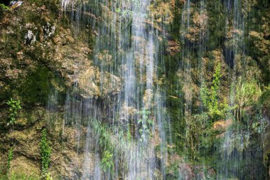 Dağ ormanında şelale 