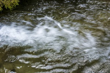 Dağ ormanında şelale 