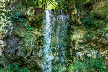 Dağ ormanında şelale 