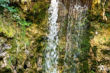 Dağ ormanında şelale 