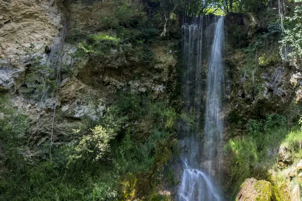 Dağ ormanında şelale 