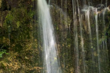 Dağ ormanında şelale 