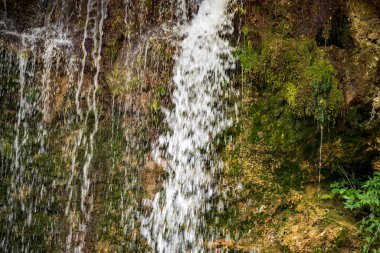 Dağ ormanında şelale 