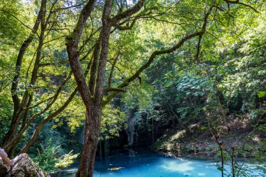 Ormanda güzel bir şelale