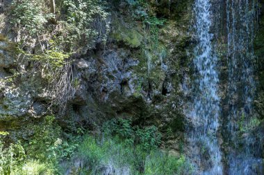 Dağ ormanında şelale 