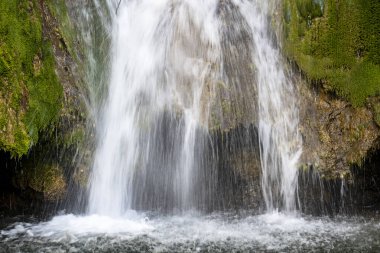 Dağ ormanında şelale 