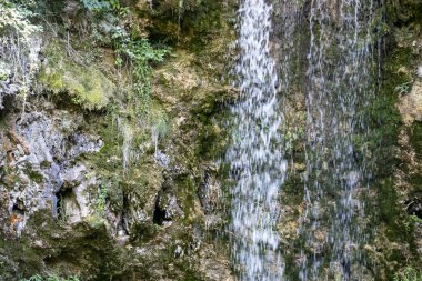 Dağ ormanında şelale 