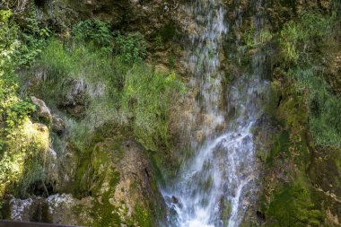 Dağ ormanında şelale 