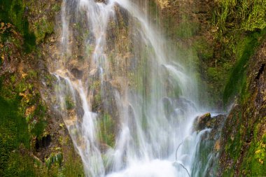 Dağ ormanında şelale 