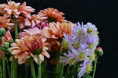 Koyu arkaplanda güzel bir sonbahar buketi