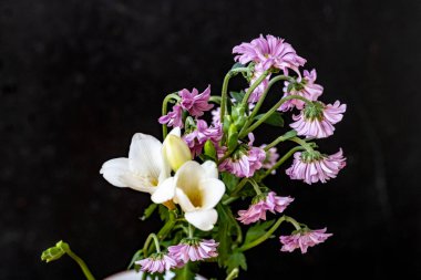 Güzel Çiçeklerin Yakından Görünümü, Doğa Arkaplanı 