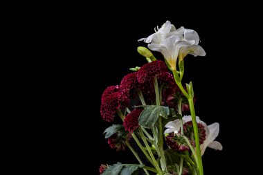 Koyu arkaplanda güzel bir sonbahar buketi