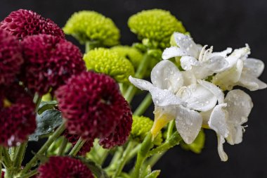 Koyu arkaplanda güzel bir sonbahar buketi