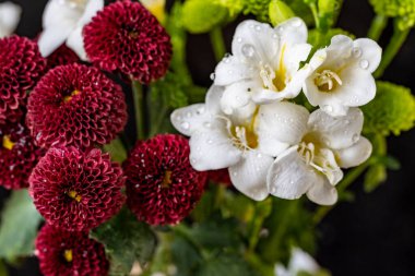 Koyu arkaplanda güzel bir sonbahar buketi