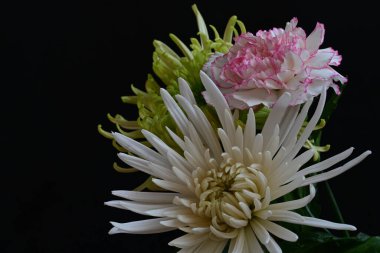 Koyu arkaplanda güzel, parlak sonbahar çiçekleri