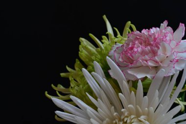 Koyu arkaplanda güzel, parlak sonbahar çiçekleri