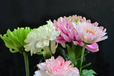 Koyu arkaplanda güzel, parlak sonbahar çiçekleri