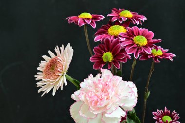 Koyu arkaplanda güzel, parlak sonbahar çiçekleri