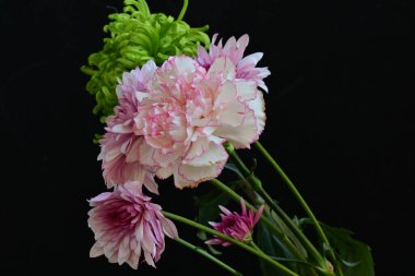 Koyu arkaplanda güzel, parlak sonbahar çiçekleri