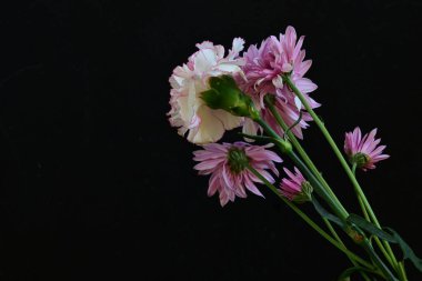 Koyu arkaplanda güzel, parlak sonbahar çiçekleri