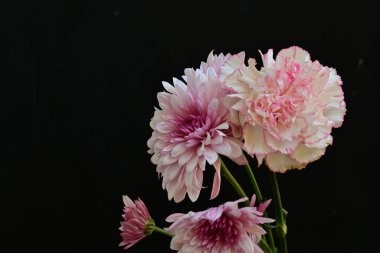 Koyu arkaplanda güzel, parlak sonbahar çiçekleri