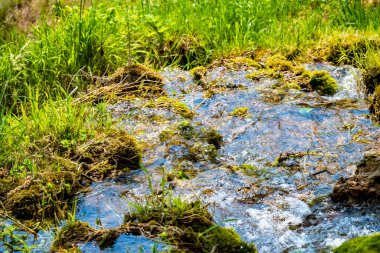 Yeşil çimenlerdeki su akıntısı