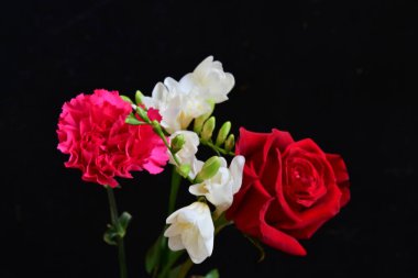 güzel karanfil, frezya ve gül koyu arkaplanda, yakın görüş